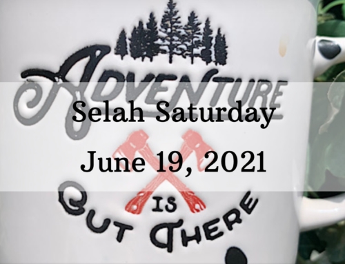 The Great Adventure, June 19, 2021